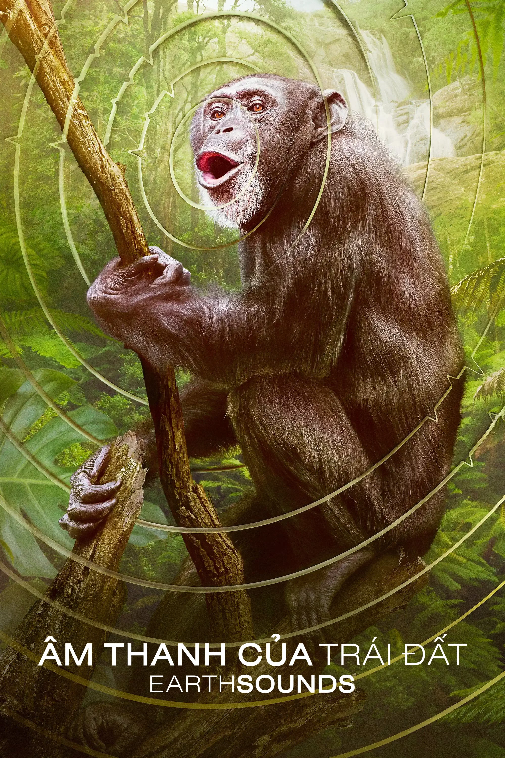 Âm Thanh Của Trái Đất – Earthsounds Earthsounds