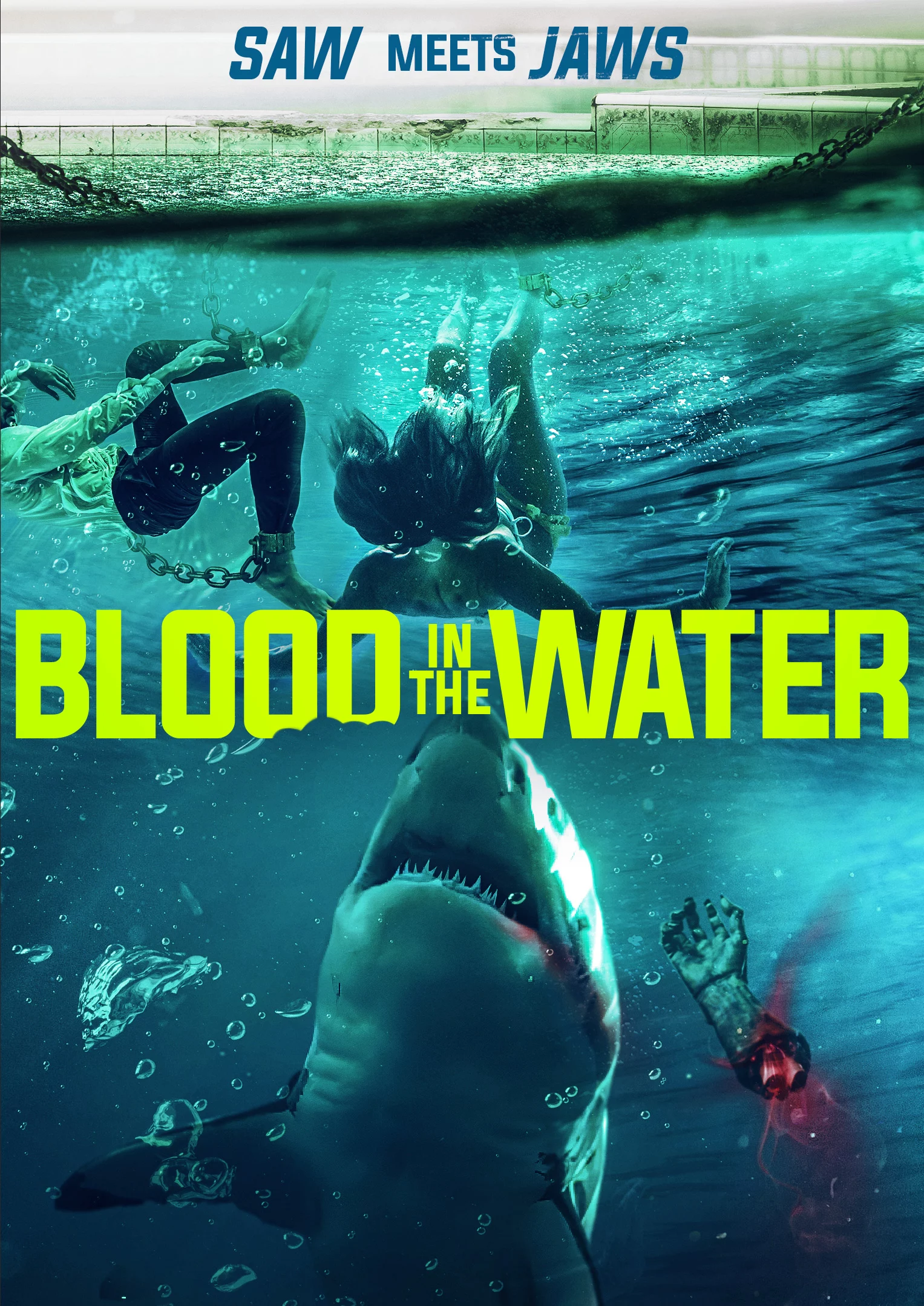Cá Mập Dưới Nước Blood in the Water