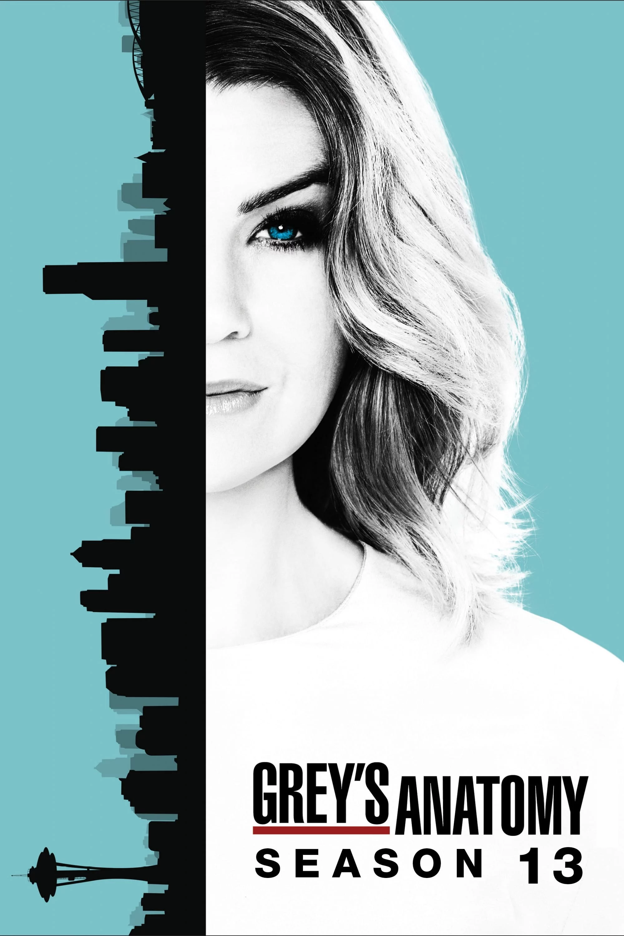 Ca Phẫu Thuật Của Grey (Phần 13) Grey's Anatomy (Season 13)