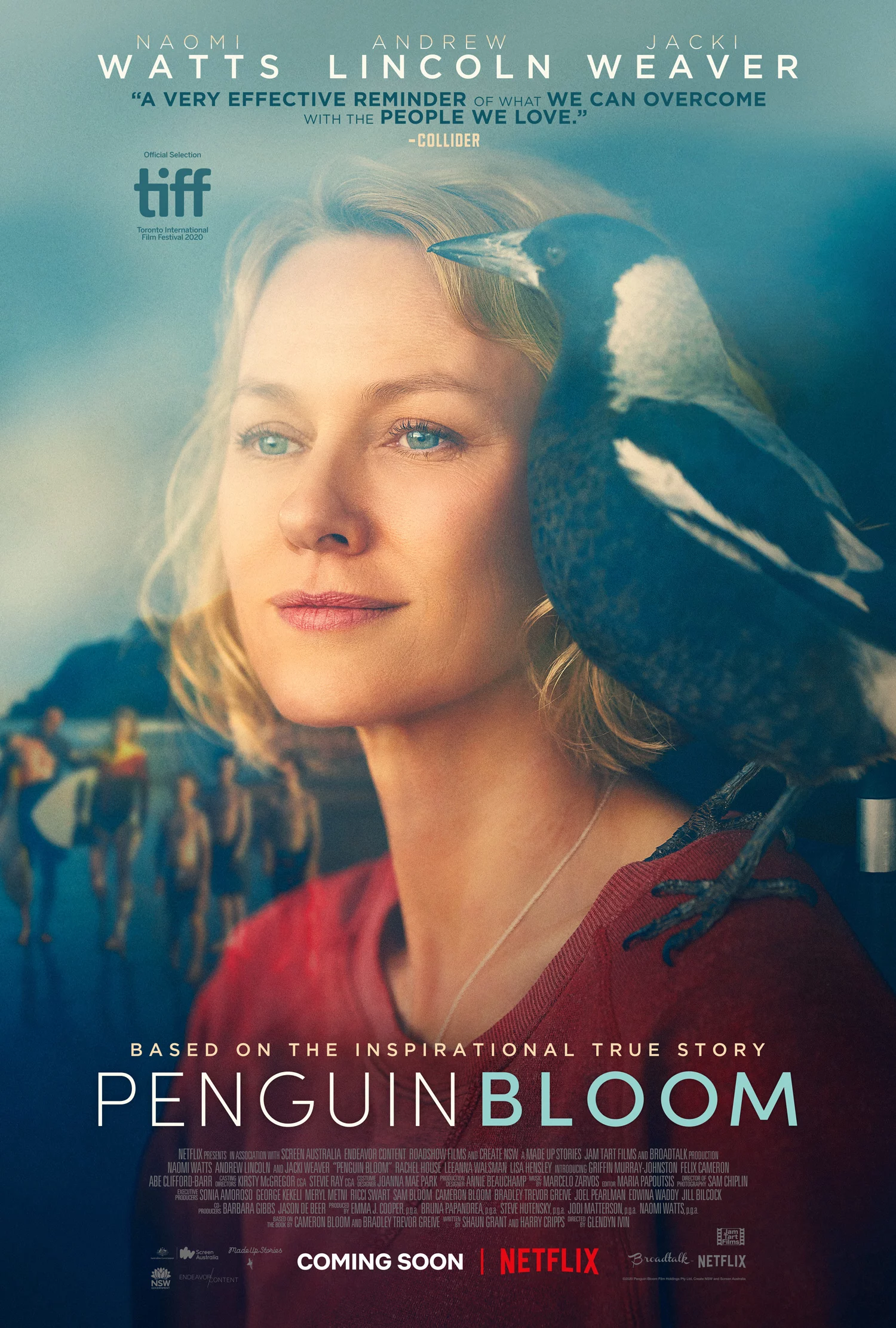 Cánh Cụt nhà Bloom Penguin Bloom