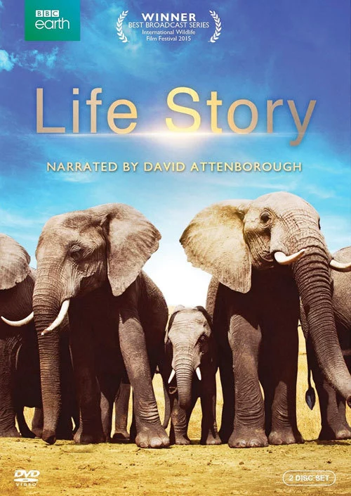 Câu Chuyện Cuộc Sống Life Story