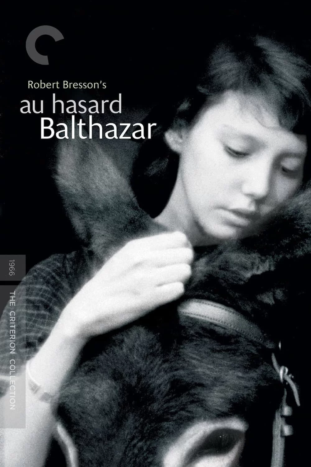 Chú Lừa Balthazar Au hasard Balthazar