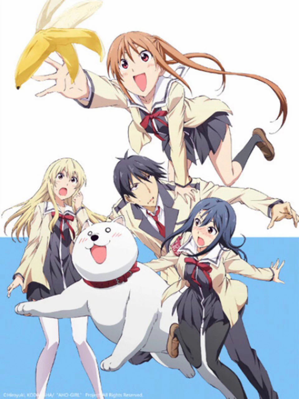 Cô Nàng Ngốc – Aho Girl Aho Girl