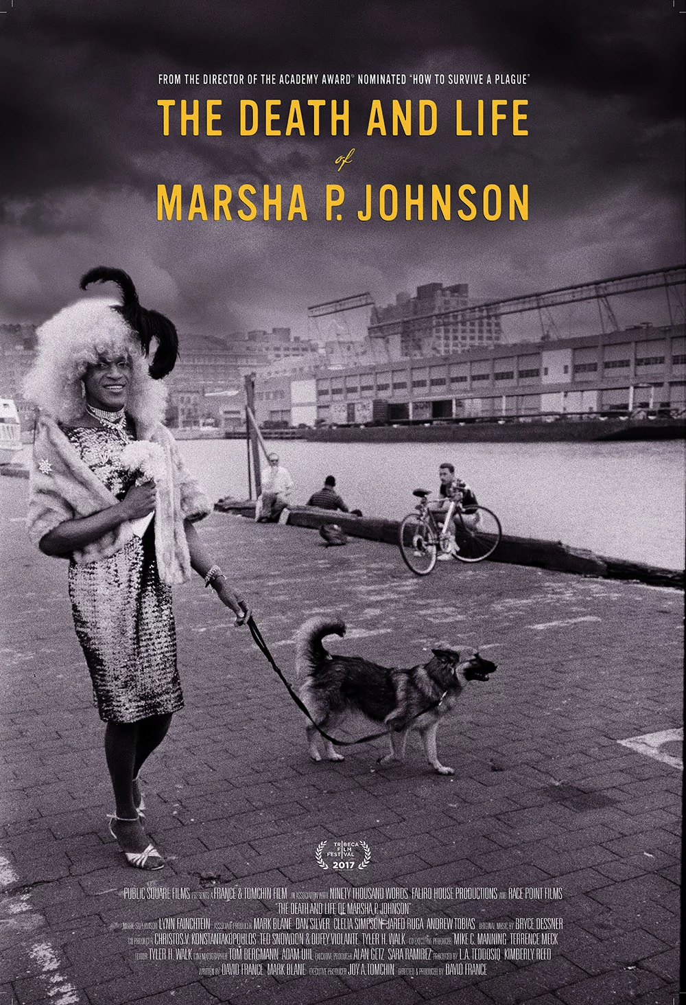 Cuộc đời và cái chết của Marsha P. Johnson The Death and Life of Marsha P. Johnson