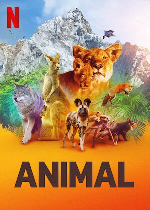 Động vật (Phần 1) Animal (Season 1)