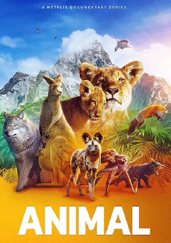 Động vật (Phần 2) Animal (Season 2)