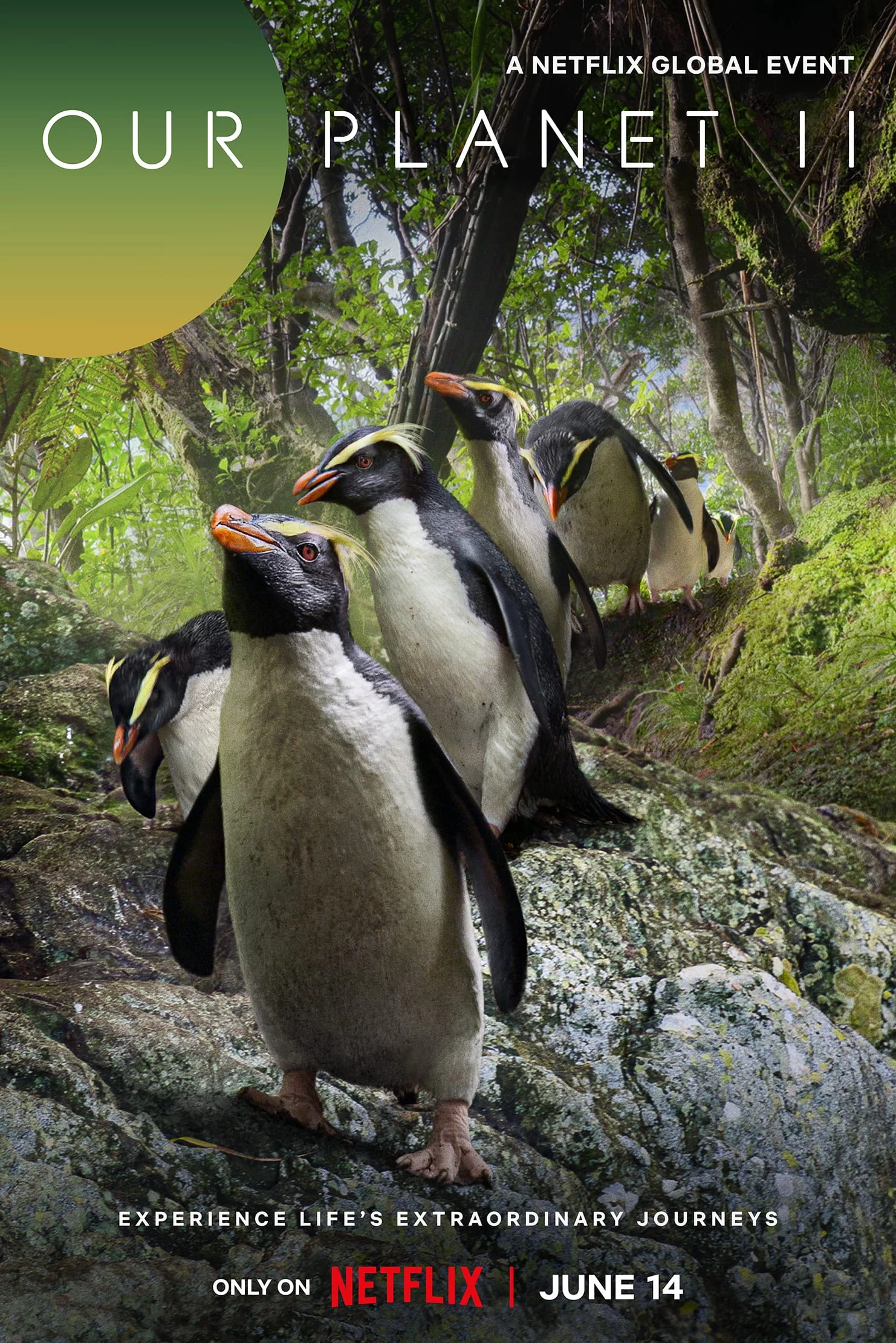 Hành Tinh Của Chúng Ta (Phần 2) Our Planet (Season 2)