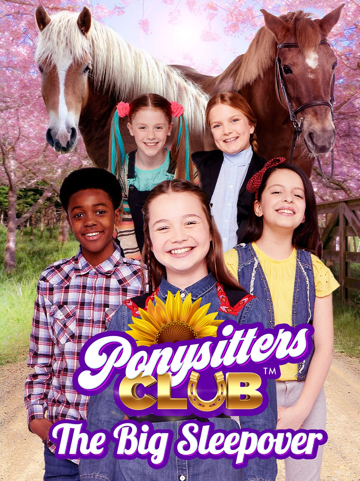 Hội chăm sóc ngựa (Phần 2) Ponysitters Club (Season 2)