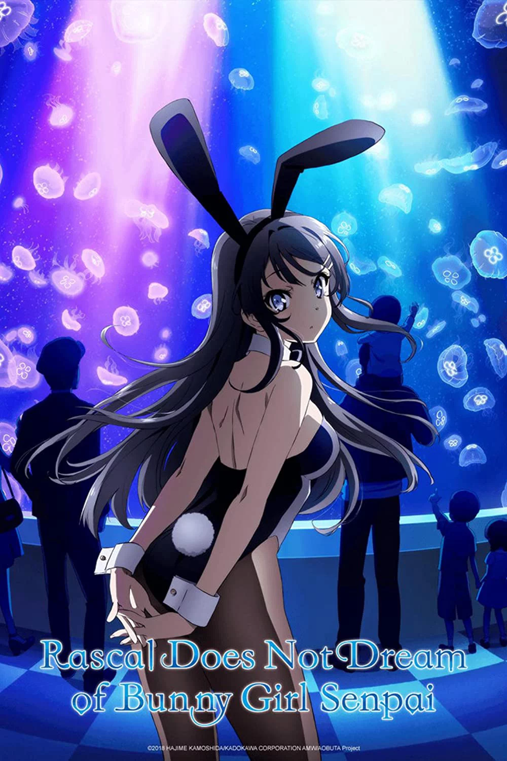 Hội chứng tuổi teen và cô gái có đôi tai thỏ Rascal Does Not Dream of Bunny Girl Senpai