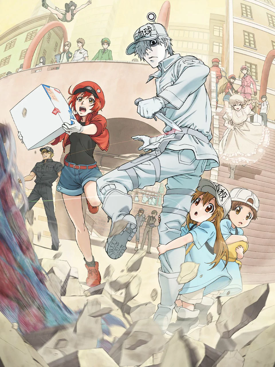 Khi các tế bào làm việc trong cơ thể Cells at Work!