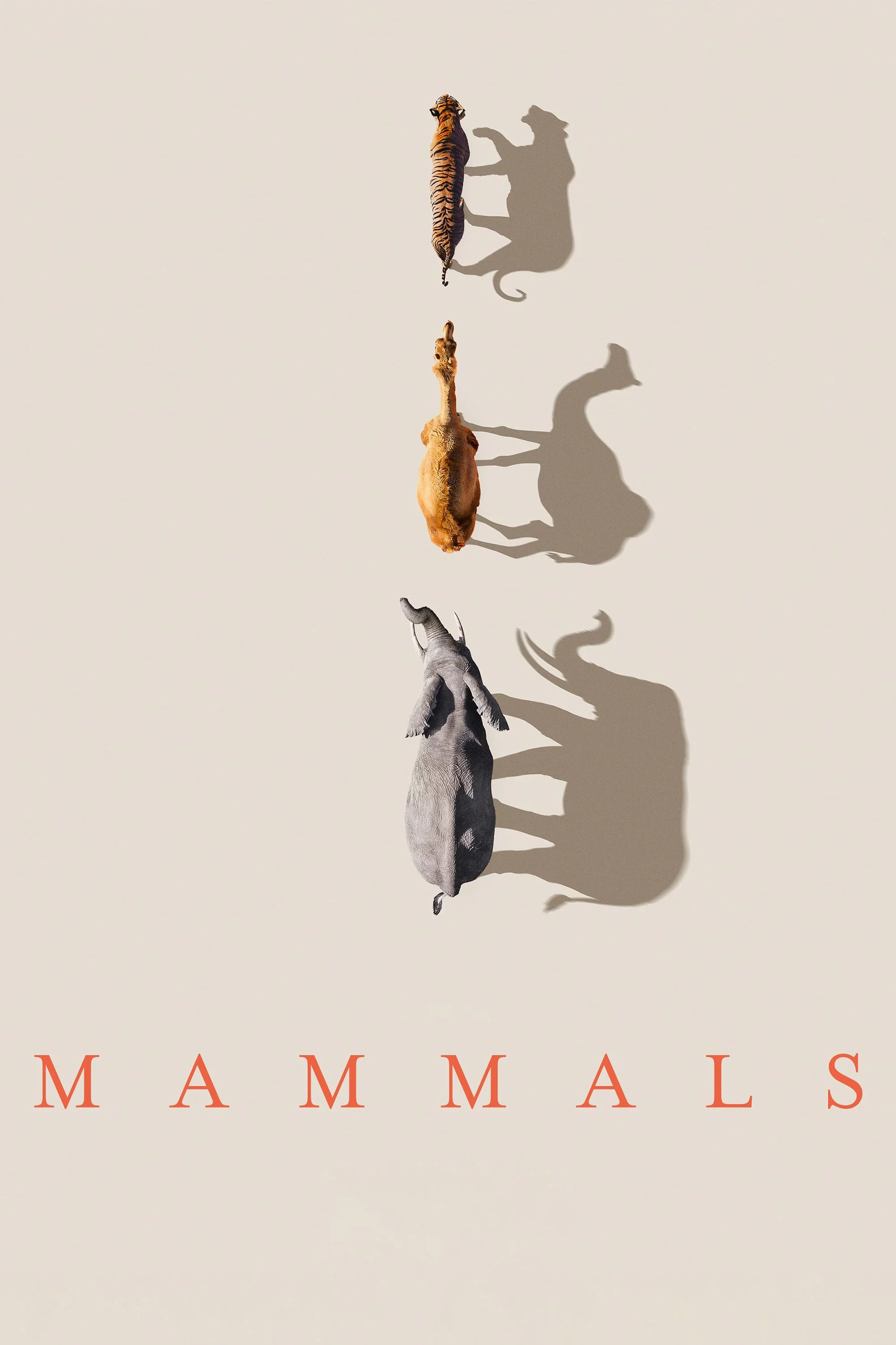 Mammals (2024) Mammals