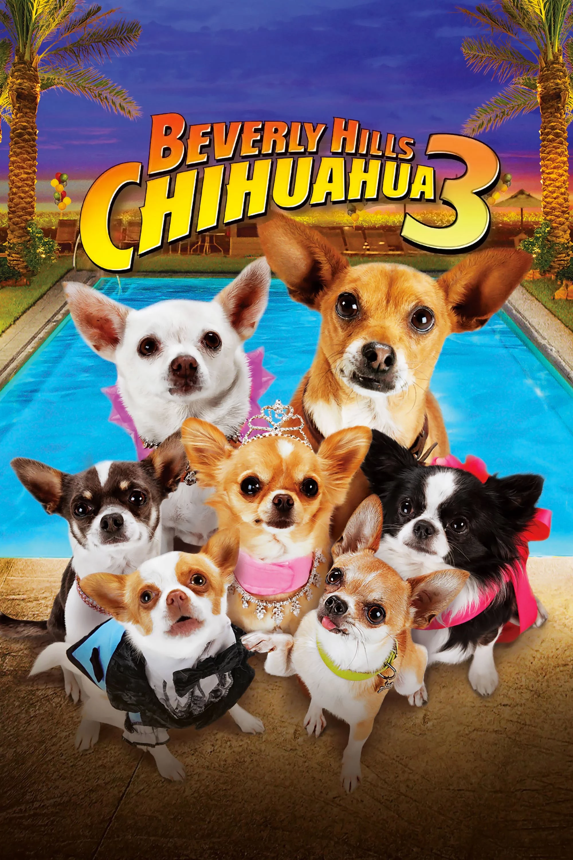 Những Chú Chó Chihuahua 3 Beverly Hills Chihuahua 3: Viva la Fiesta!