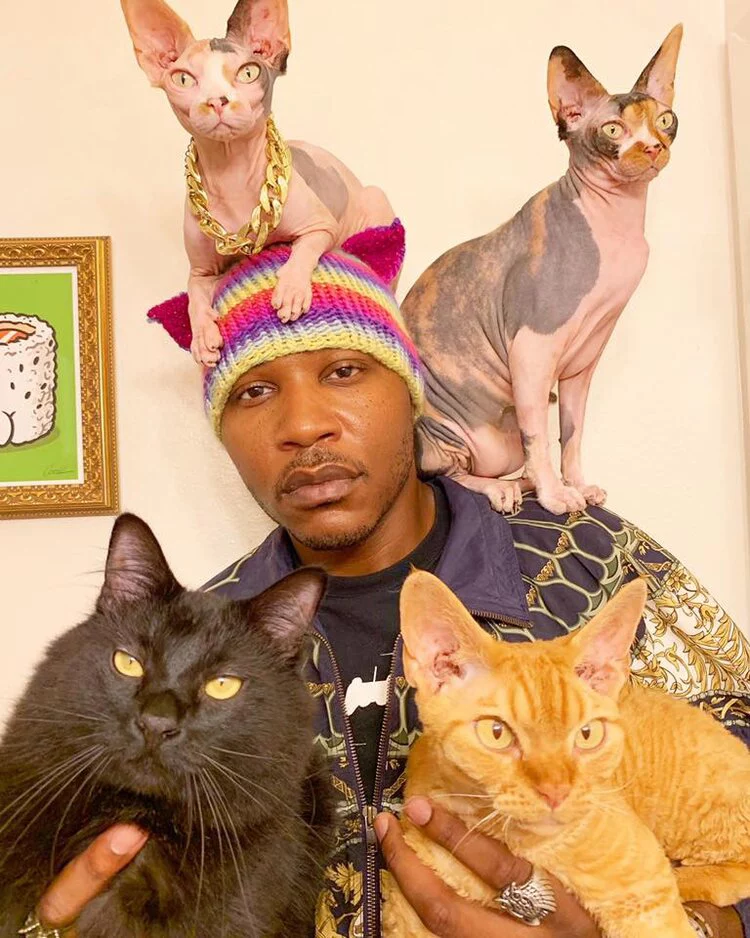 Những người yêu mèo Cat People