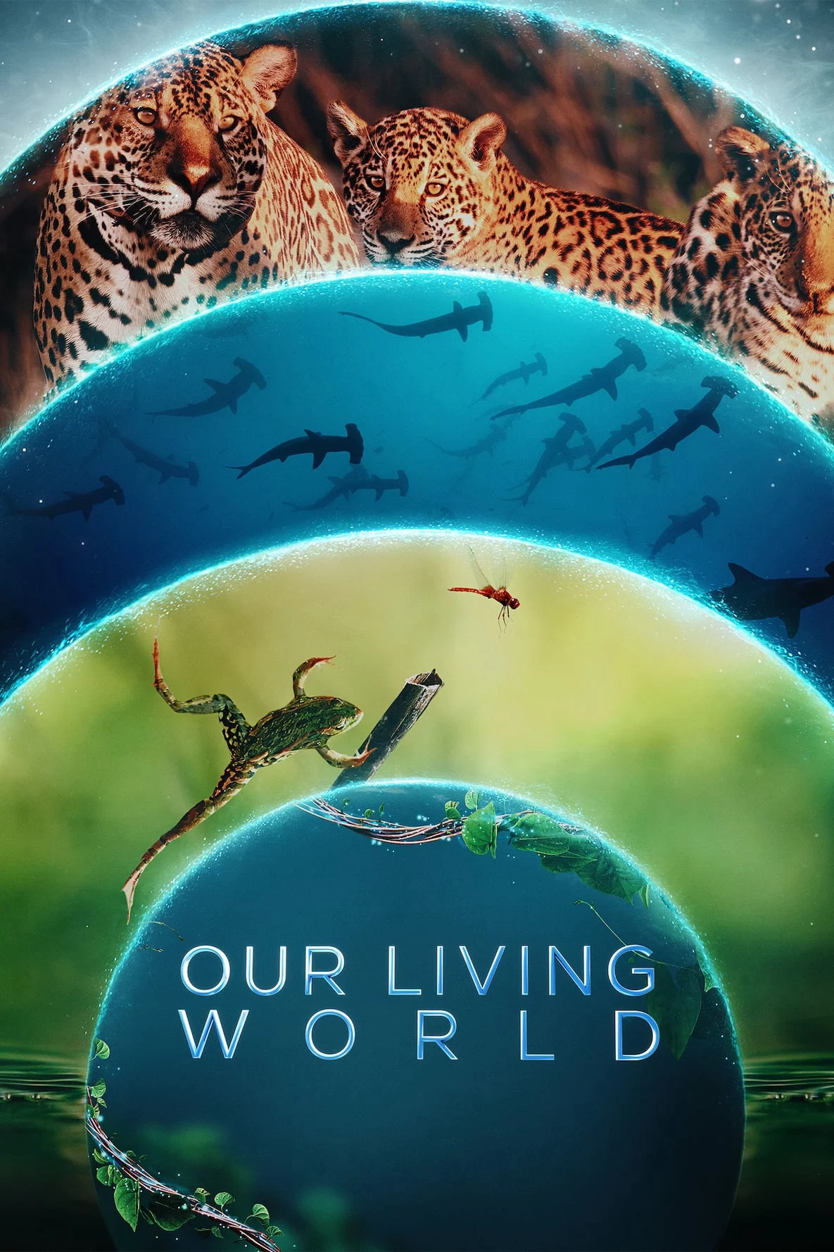 Thế giới sống của chúng ta Our Living World