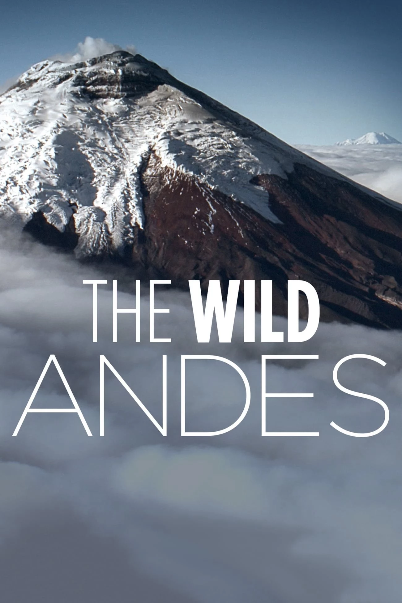 The Wild Andes The Wild Andes