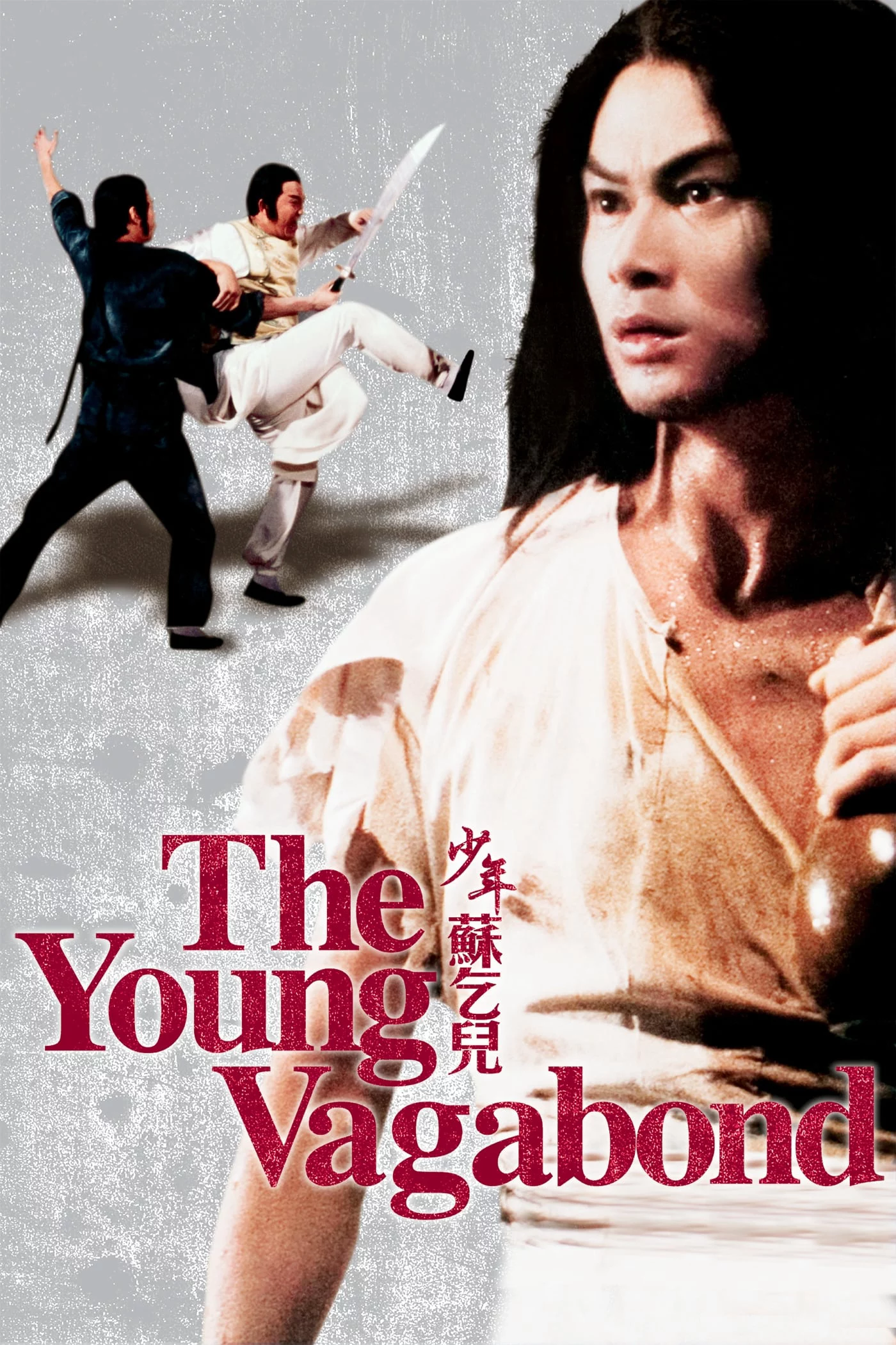 Thiếu Niên Tô Khất Nhi The Young Vagabond