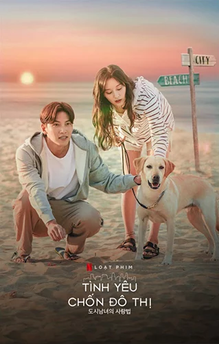 Tình Yêu Chốn Đô Thị Lovestruck in the City