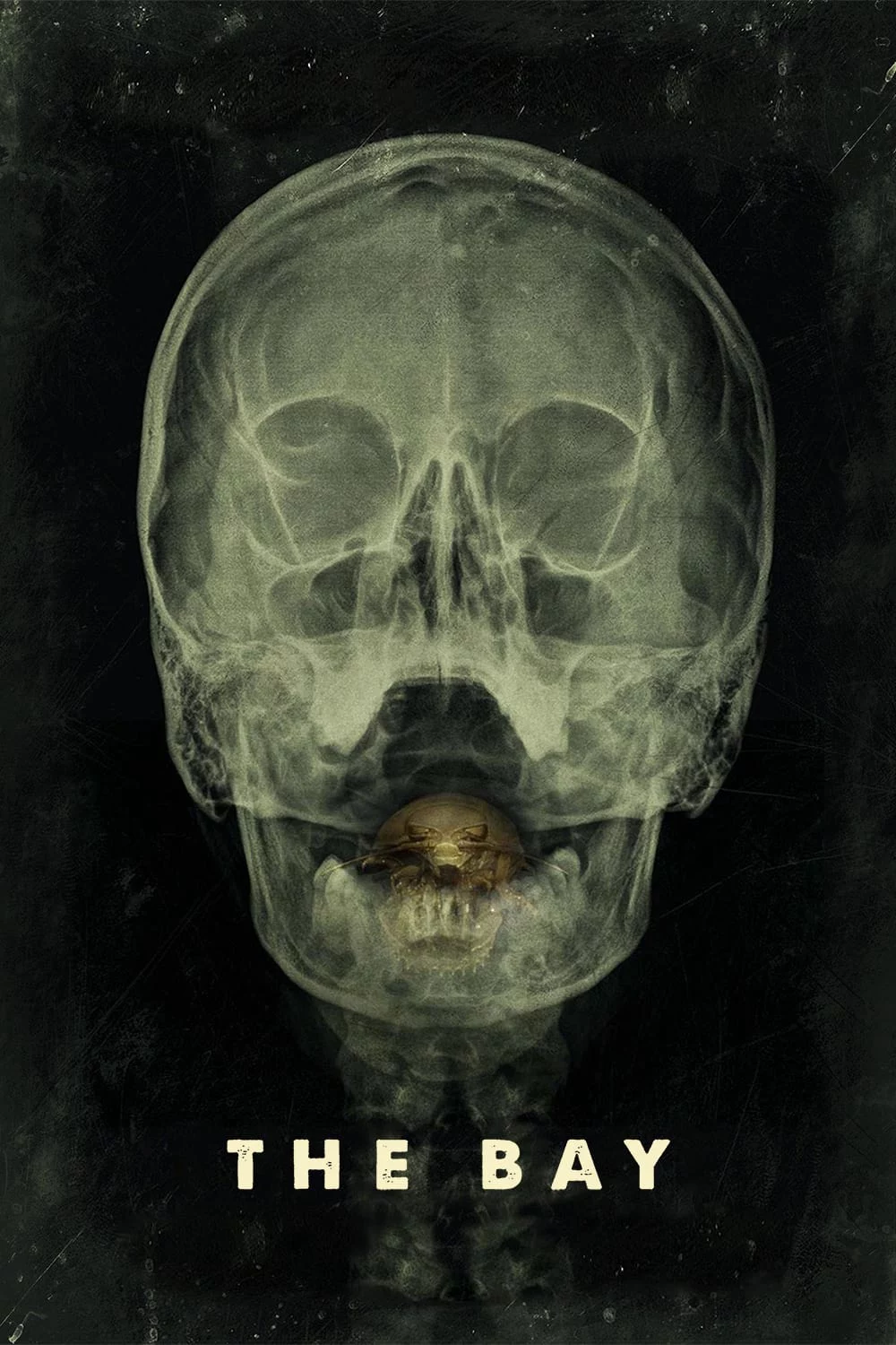 Vịnh Tử Thần The Bay