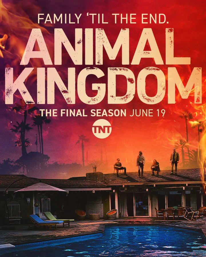 Vương quốc động vật (Phần 6) Animal Kingdom (Season 6)
