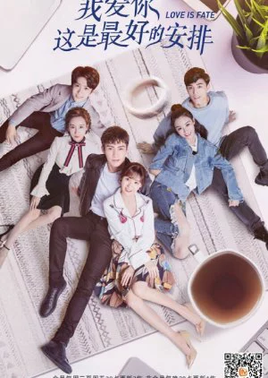 Yêu Em Là Sự Sắp Đặt Tuyệt Vời Nhất Love Is Fate