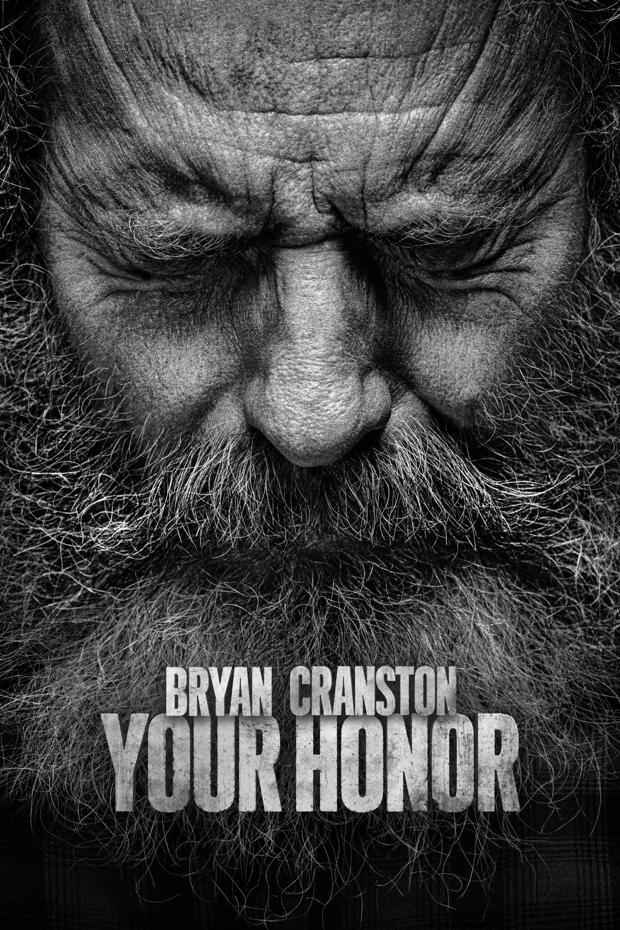 Your Honor (Phần 2) Your Honor (Season 2)