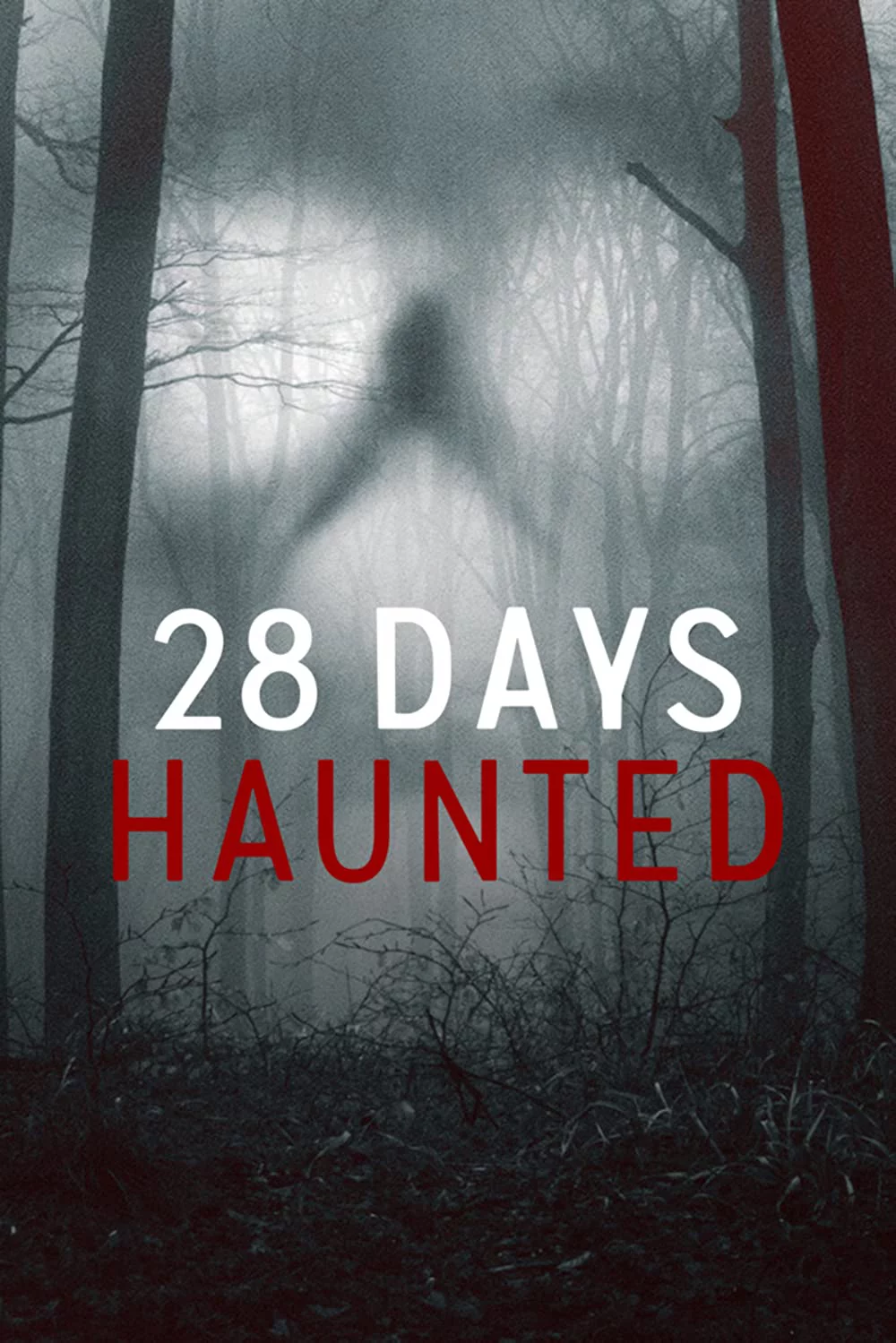 28 ngày ma ám 28 Days Haunted