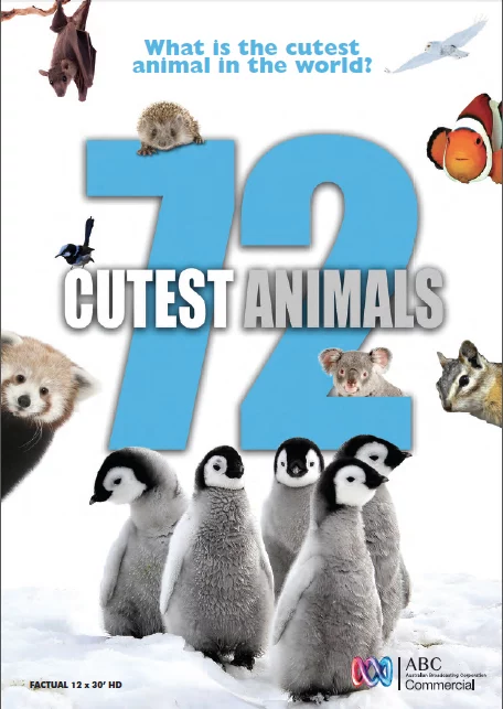 72 loài động vật dễ thương nhất 72 Cutest Animals