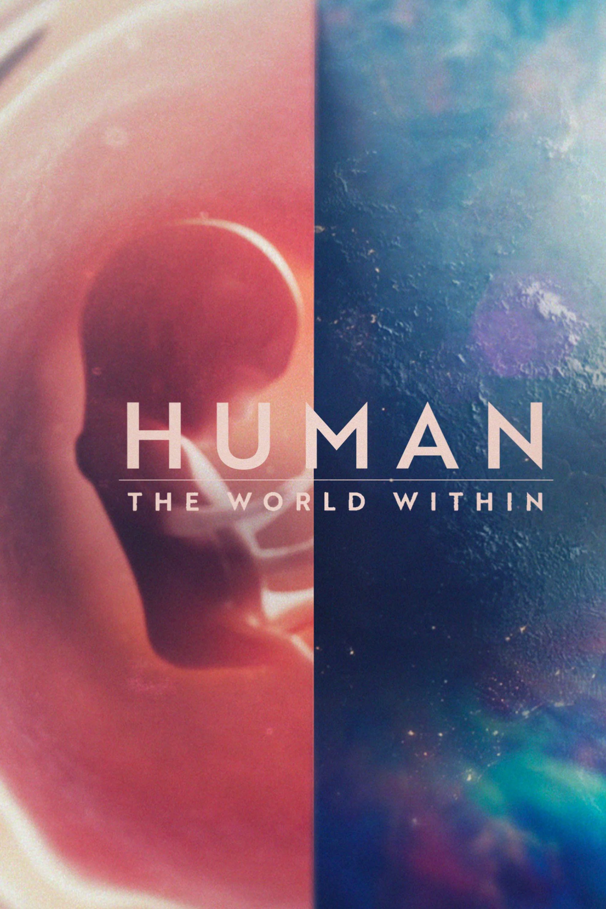 Con người: Thế giới bên trong cơ thể Human: The World Within