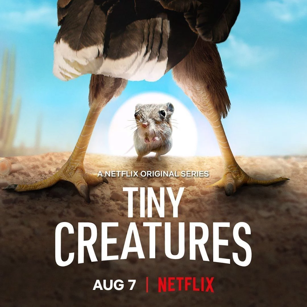 Những sinh vật tí hon Tiny Creatures