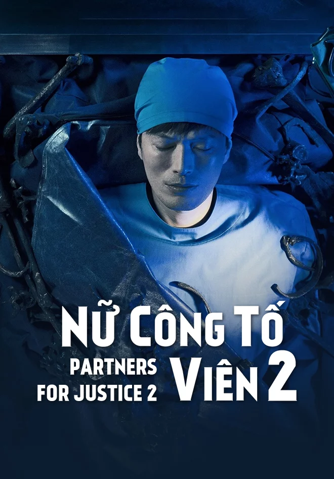 Nữ công tố viên (Phần 2) Partners for Justice 2 (Season 2)