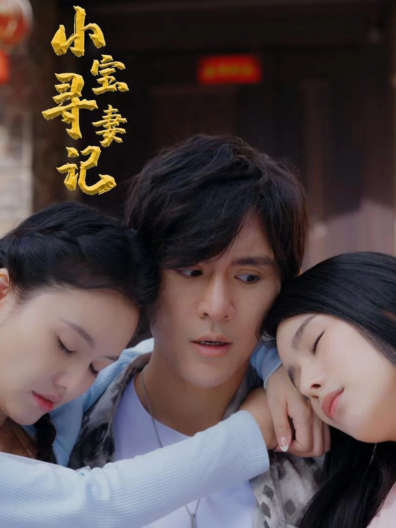 Cuộc Tìm Vợ Của Tiểu Bảo 小宝寻妻记