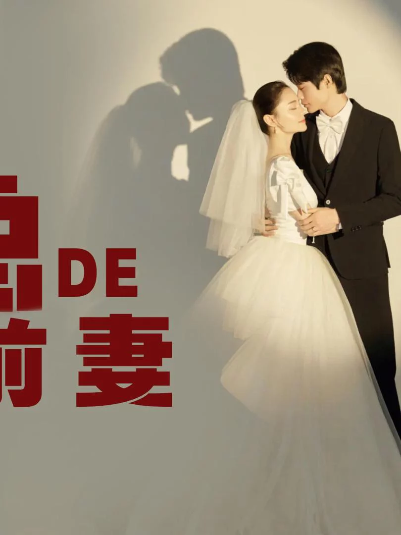 Cựu Vợ Thế Thân Của Tổng Giám Đốc 时总的替身前妻