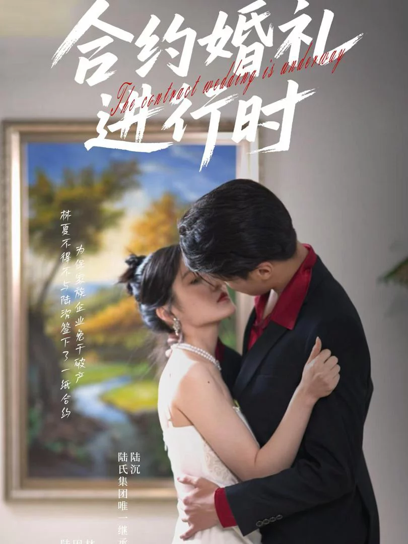 Đám Cưới Hợp Đồng Đang Diễn Ra 合约婚礼进行时