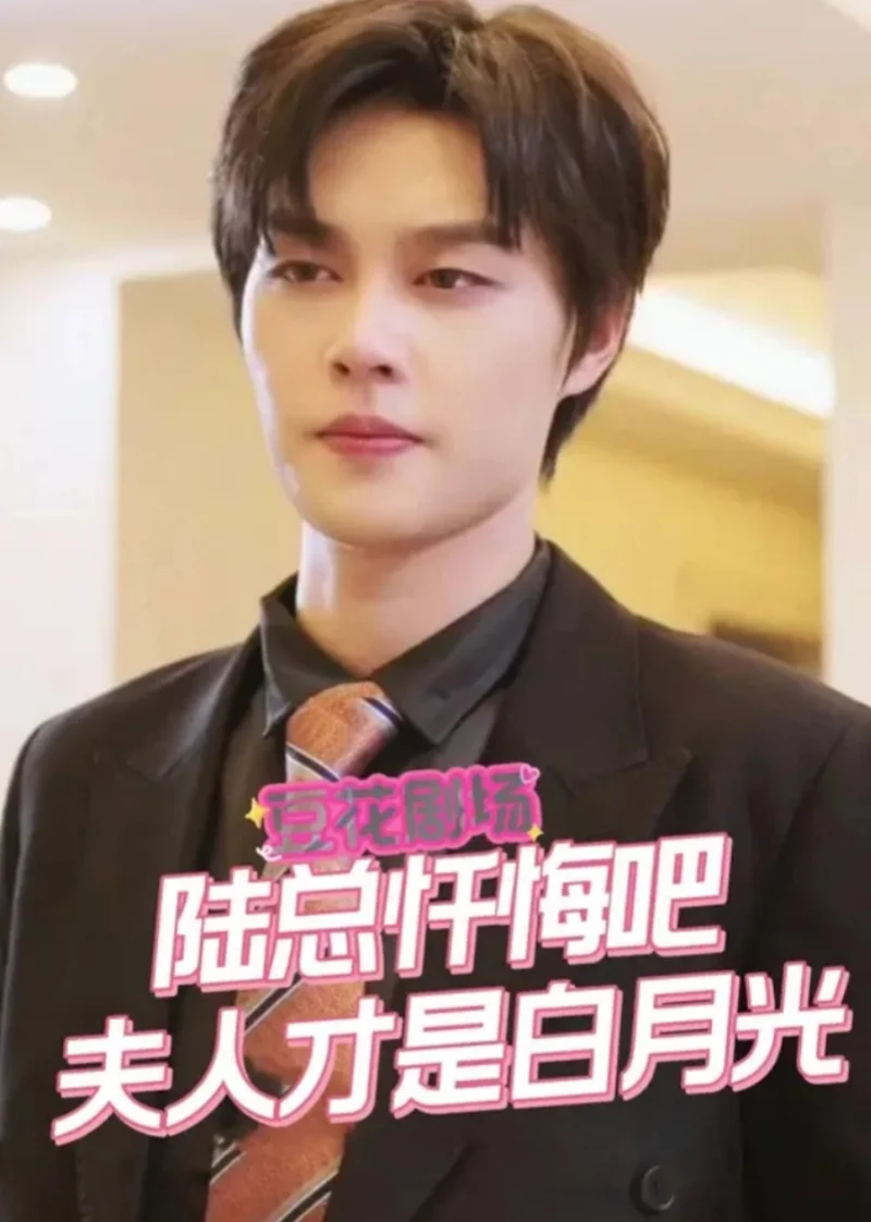 Found Too Late 陆总忏悔吧，夫人才是你的白月光