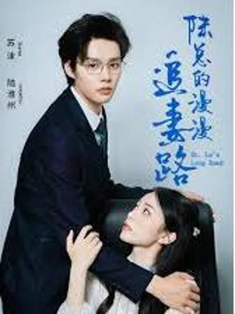 Hành Trình Dài Của Tổng Giám Đốc Lục Để Đuổi Theo Vợ 陆总的漫漫追妻路