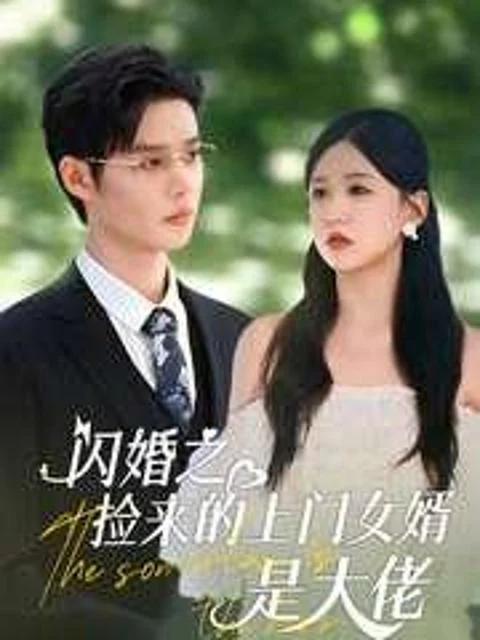 Kết Hôn Chớp Nhoáng: Con Rể Nhặt Được Là Đại Lão 闪婚之捡来的上门女婿是大佬