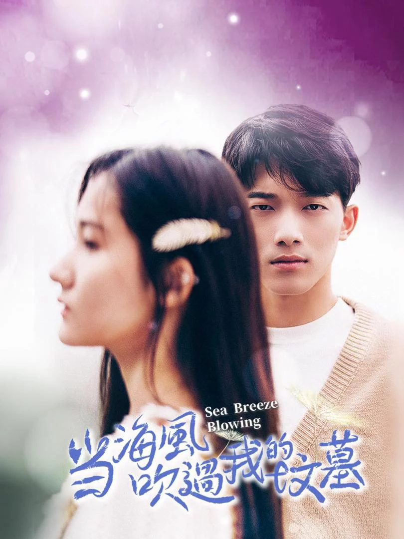 Khi Gió Biển Thổi Qua Ngôi Mộ Của Tôi 当海风吹过我的坟墓