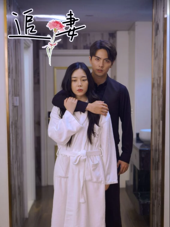 Theo Đuổi Vợ Tôi 追妻