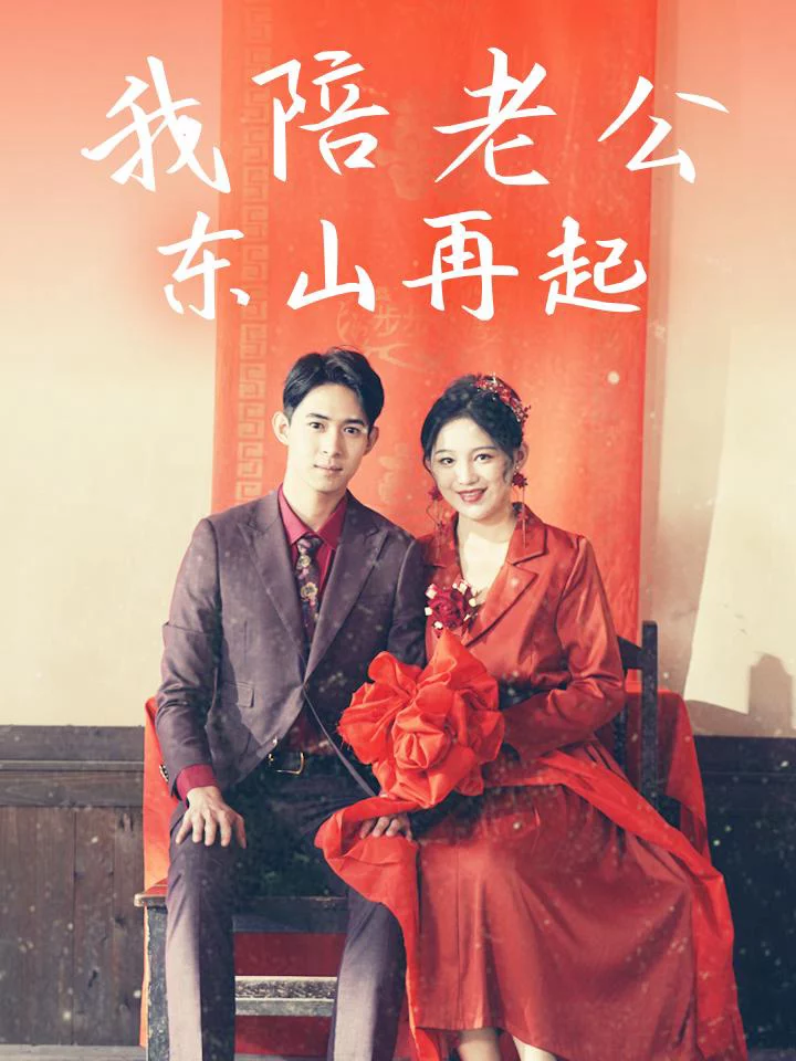 Tôi Đồng Hành Cùng Chồng Trỗi Dậy 我陪老公东山再起